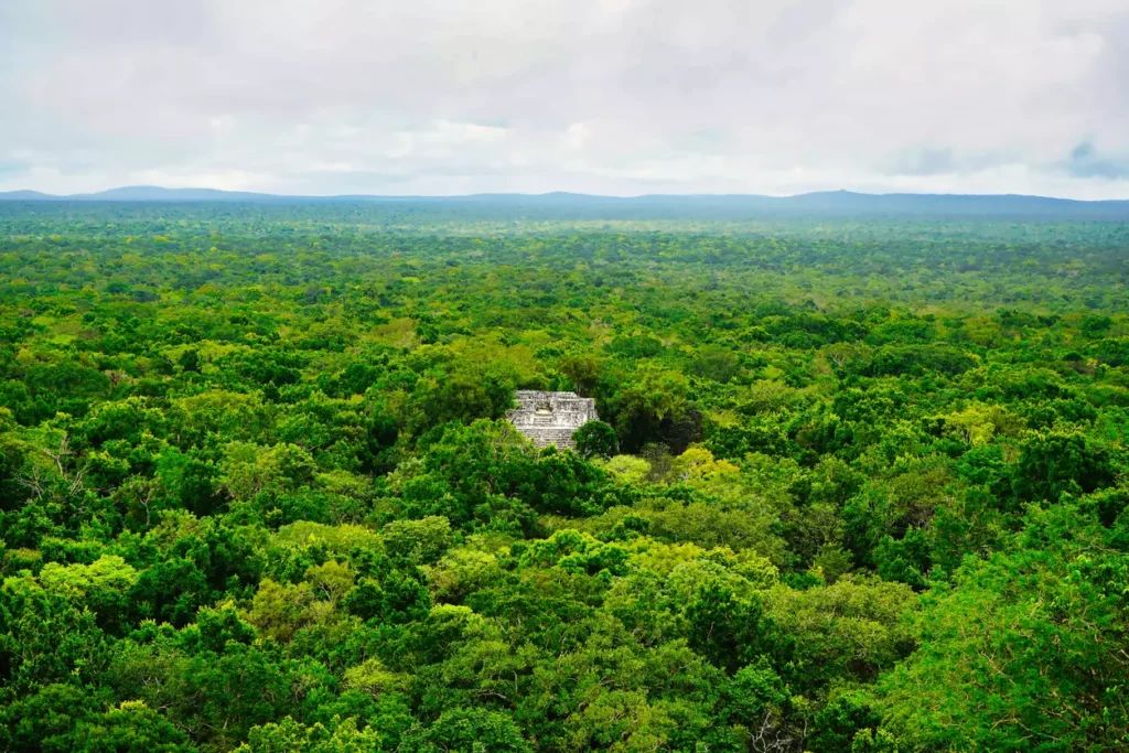 Ruinas de Calakmul en plena selva. / Istock / Randy Evoy 